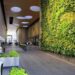 Biophilic Design Builds for Human-Centered Spaces