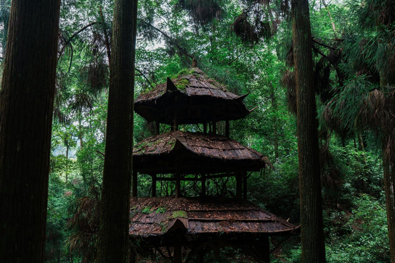 A weathered, multi-tiered pagoda structure in a lush forest.
